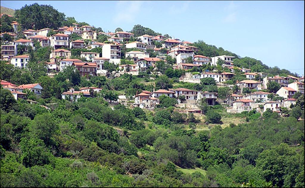 Vassilis Guesthouse Rapsani Ngoại thất bức ảnh